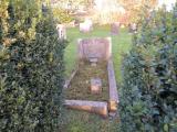 image of grave number 558868